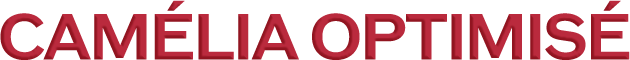 Camellia Optimized